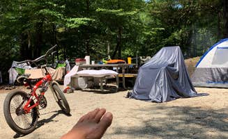 Bill G.'s photo at Richard B Russell State Park Campground near Calhoun Falls, SC