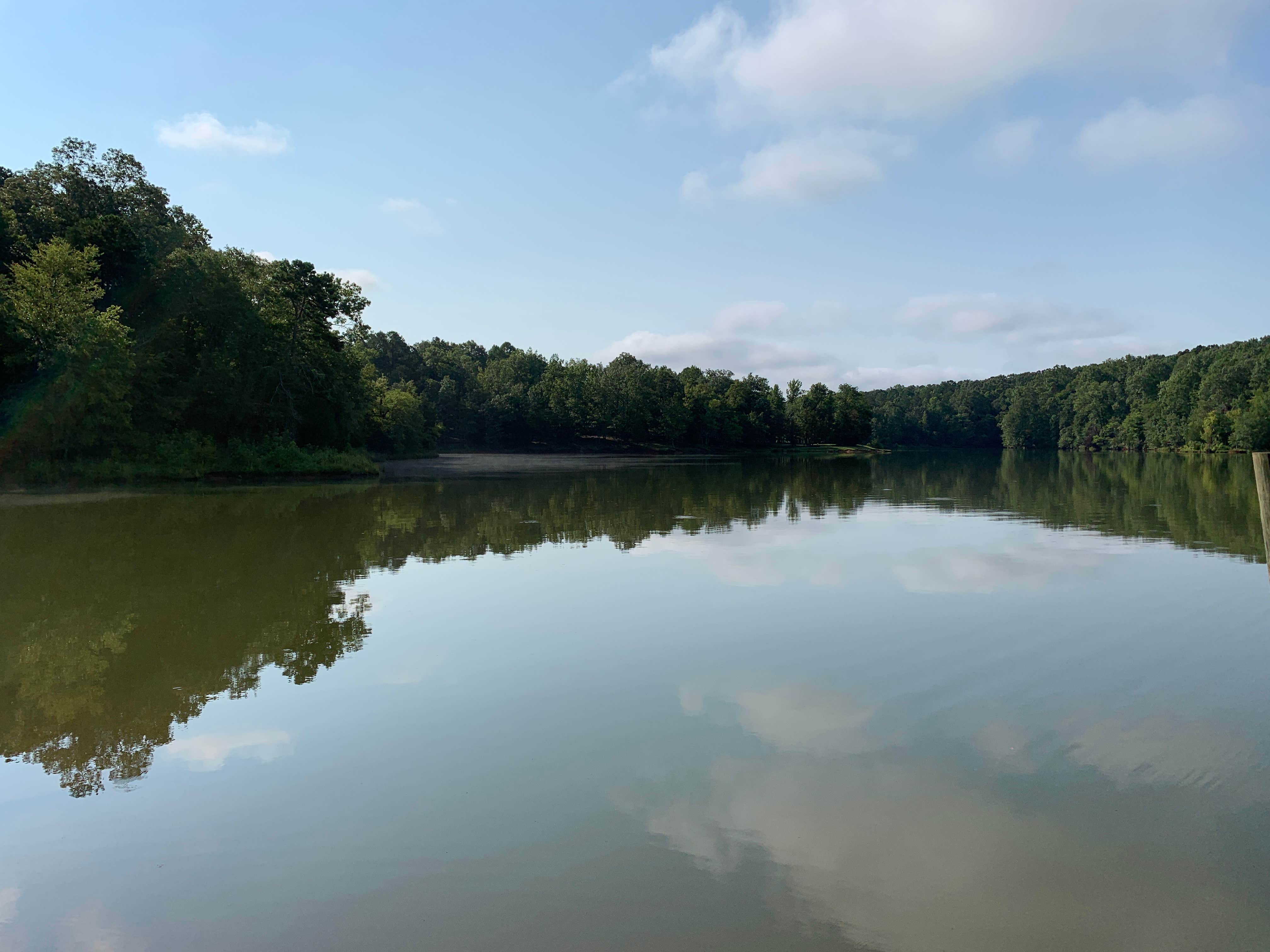 Camper submitted image from Richard B Russell State Park Campground - 2