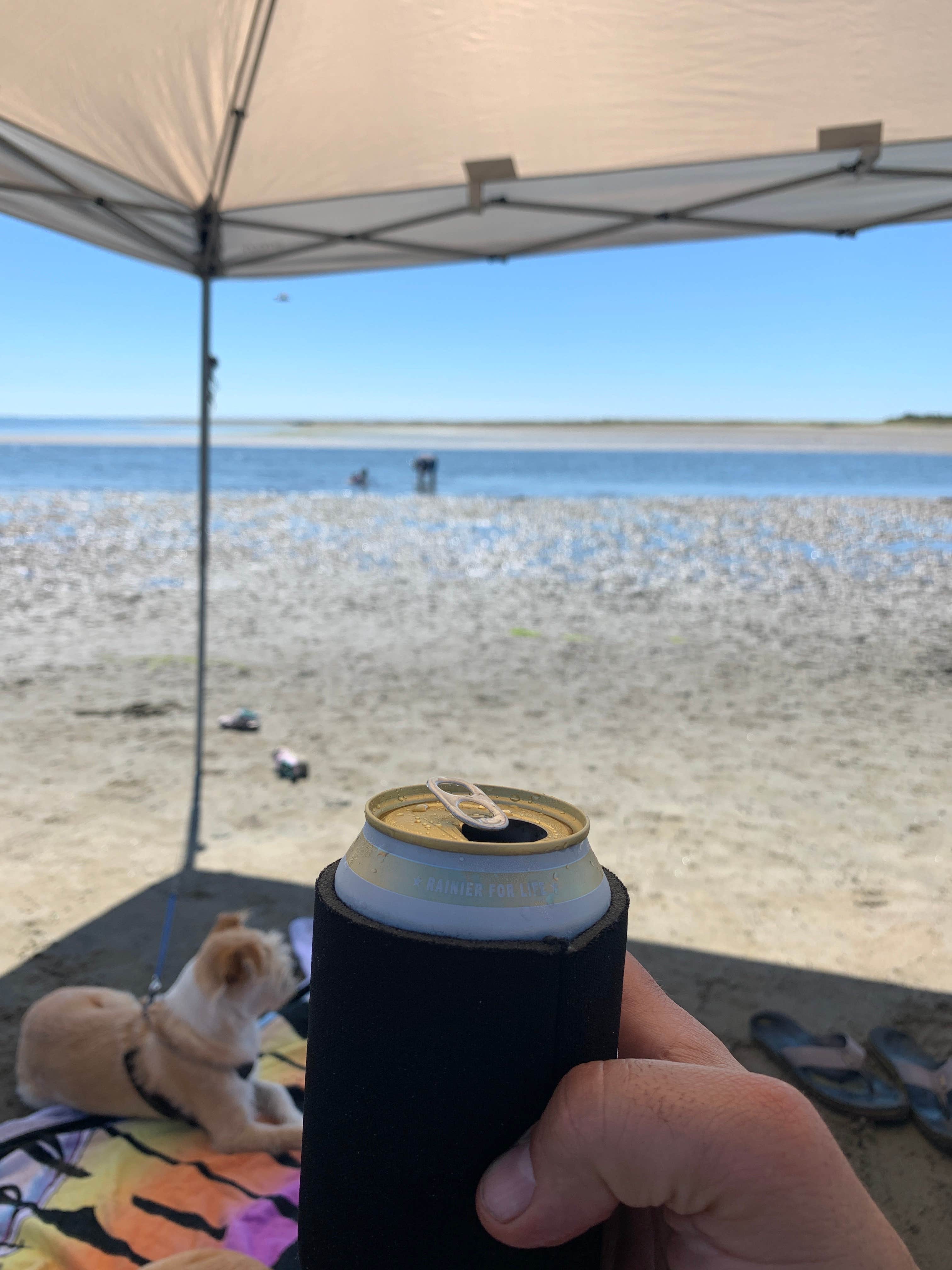 Adam W.'s photo of camping with pets at Bayshore RV Park & Guest Suites near Raymond, WA