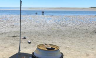Adam W.'s photo of camping with pets at Bayshore RV Park & Guest Suites near Ocean Shores, WA