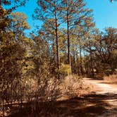 Review photo of Reed Bingham State Park Campground by Brenda S., May 1, 2018