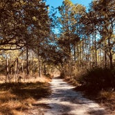 Review photo of Reed Bingham State Park Campground by Brenda S., May 1, 2018
