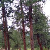 Review photo of Colorado Campground by Matthew J., August 19, 2020