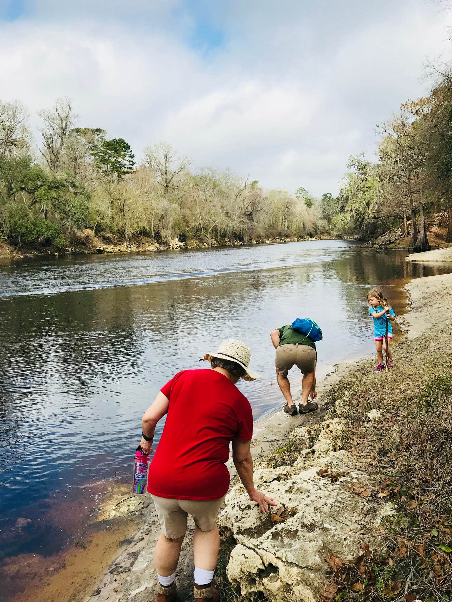 Camper submitted image from Suwannee River State Park Campground - 5