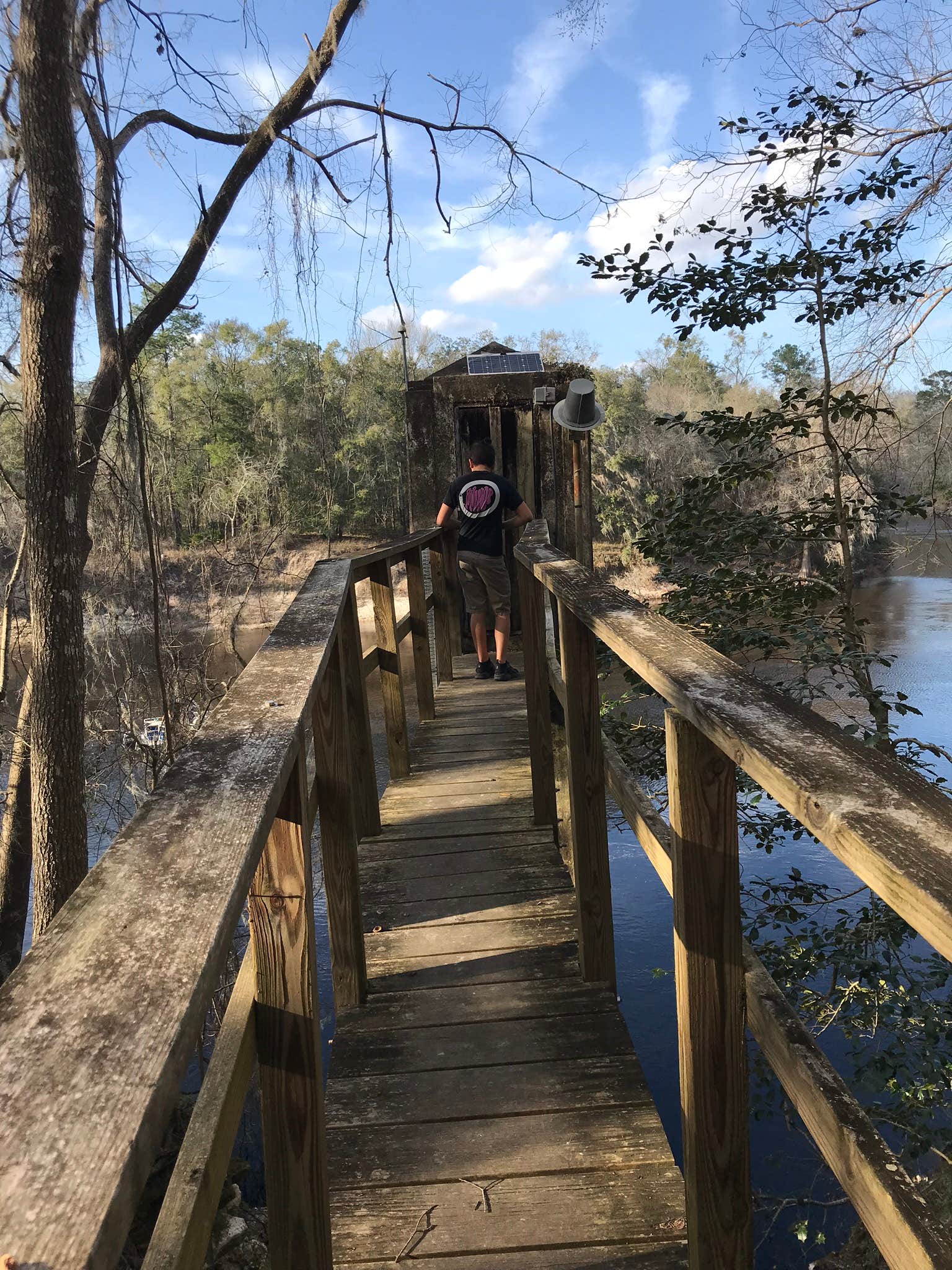 Camper submitted image from Suwannee River State Park Campground - 4