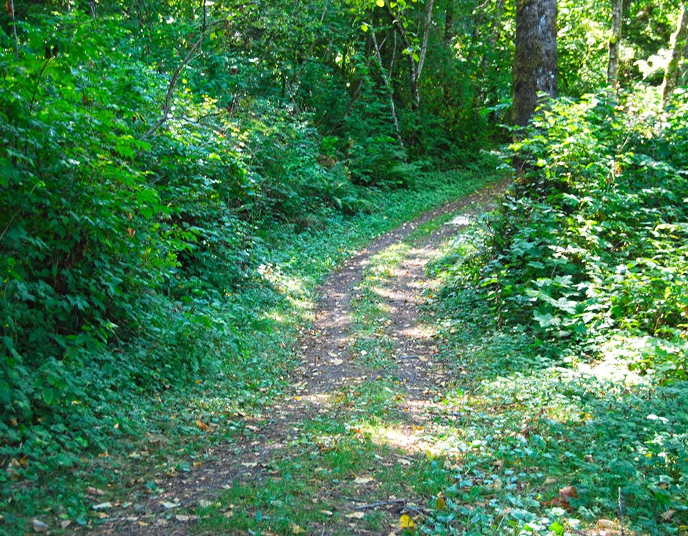 Camper-submitted photo at Thousand Trails Thunderbird near Mt. Baker-Snoqualmie National Forest