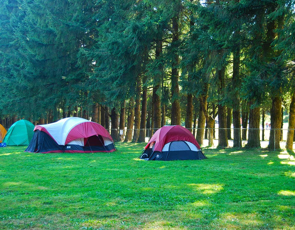 The Dyrt's photo at Thousand Trails Thunderbird near Sammamish, WA