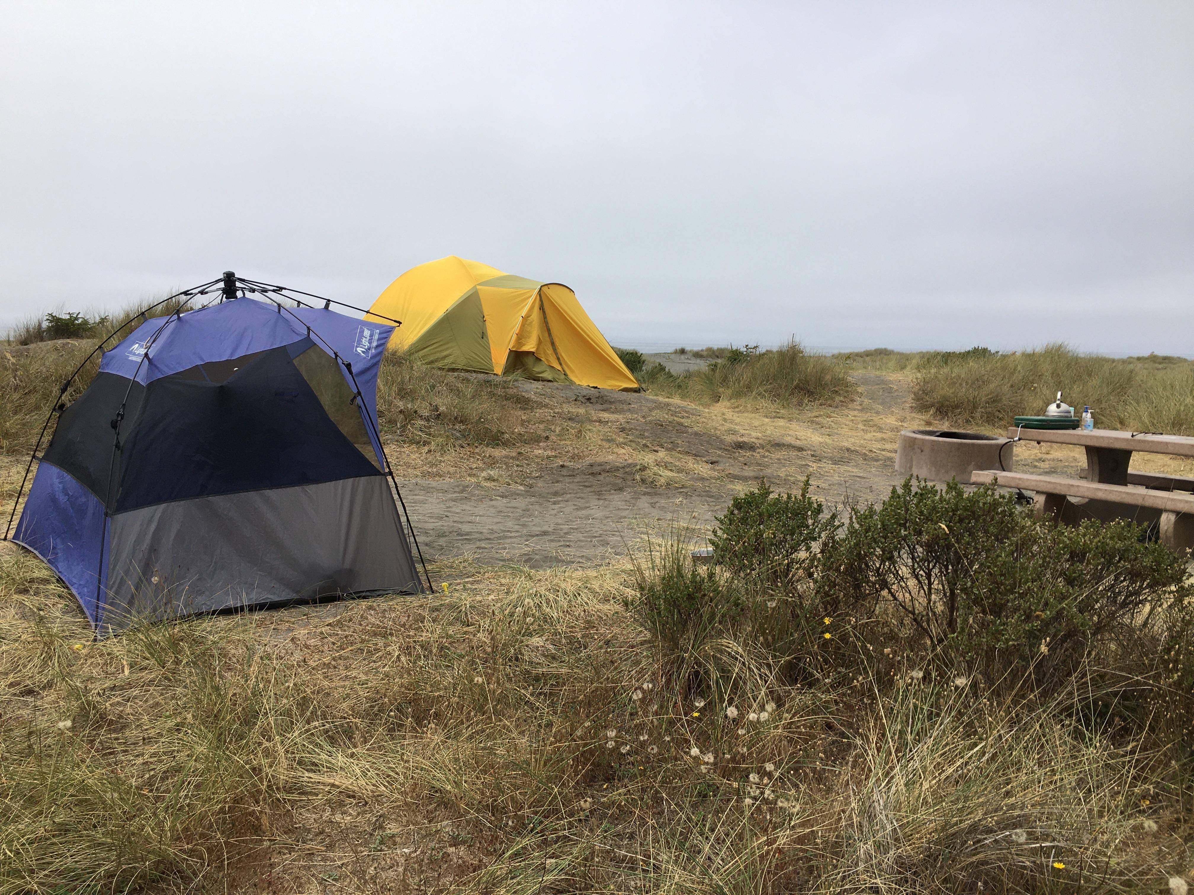 Camper submitted image from Gold Bluffs Beach Campground — Prairie Creek Redwoods State Park - 5