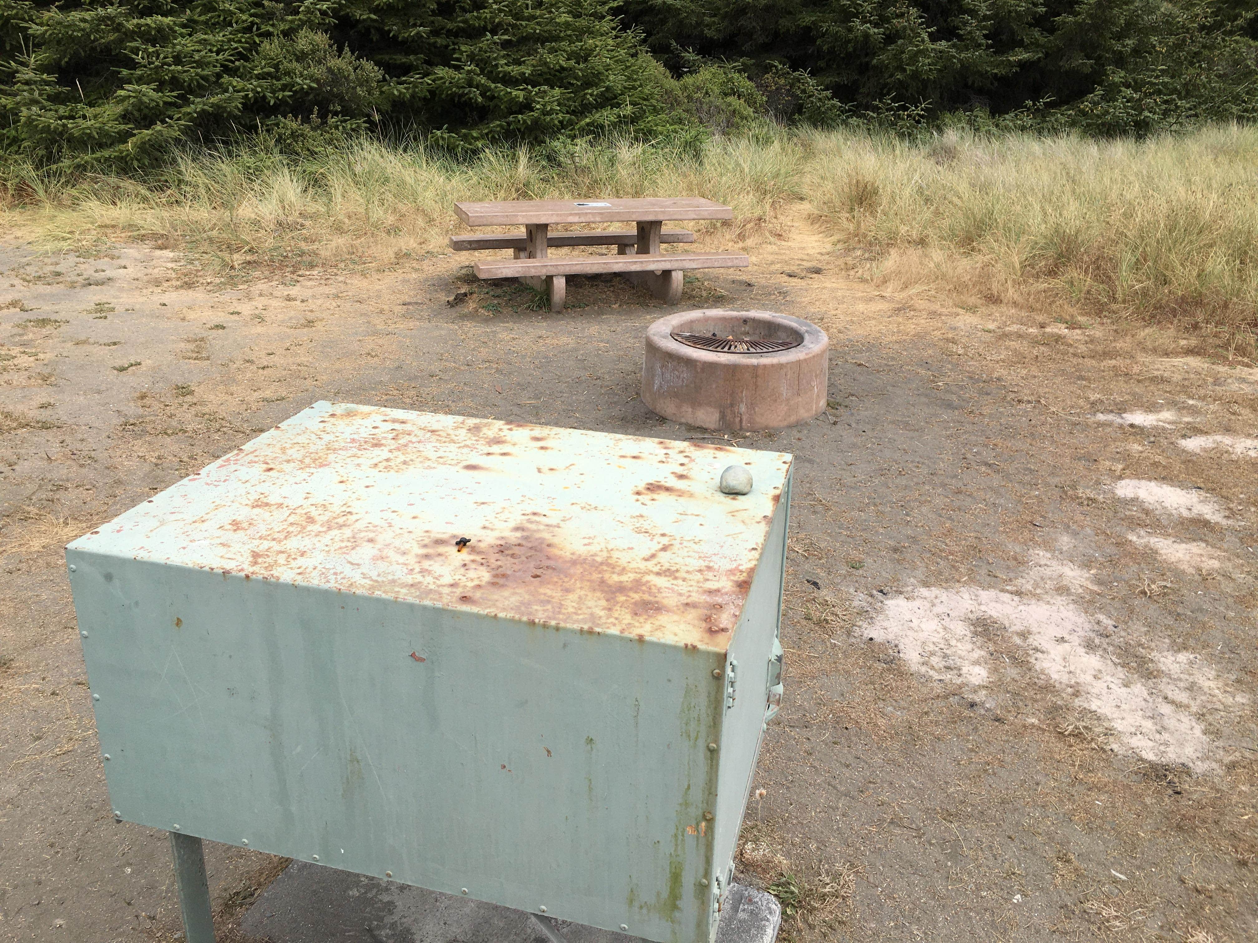Camper-submitted photo at Gold Bluffs Beach Campground — Prairie Creek Redwoods State Park near Klamath, CA