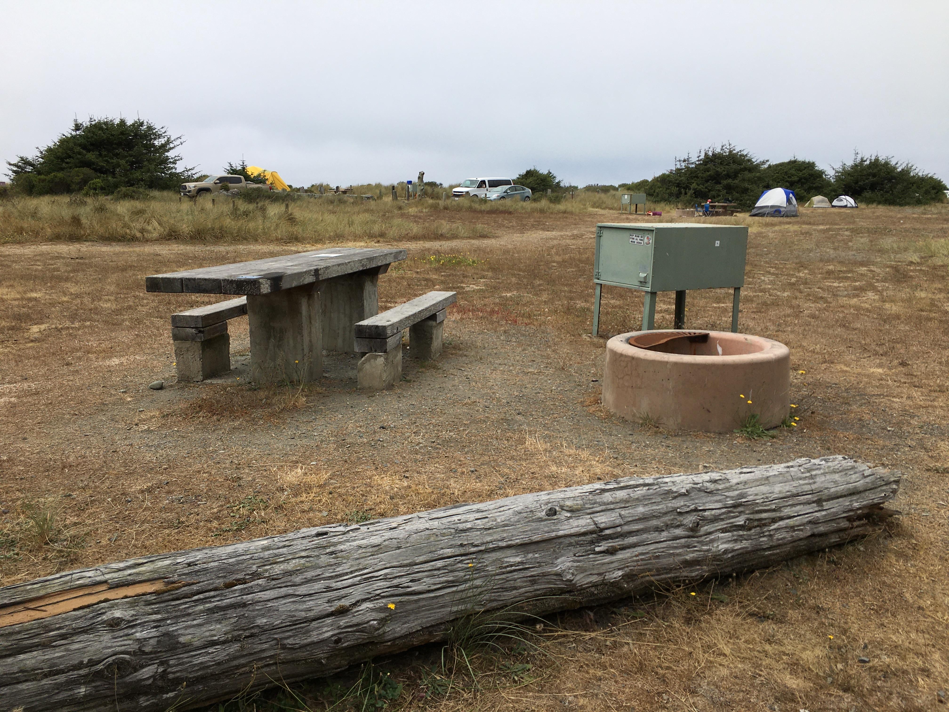 Camper submitted image from Gold Bluffs Beach Campground — Prairie Creek Redwoods State Park - 1