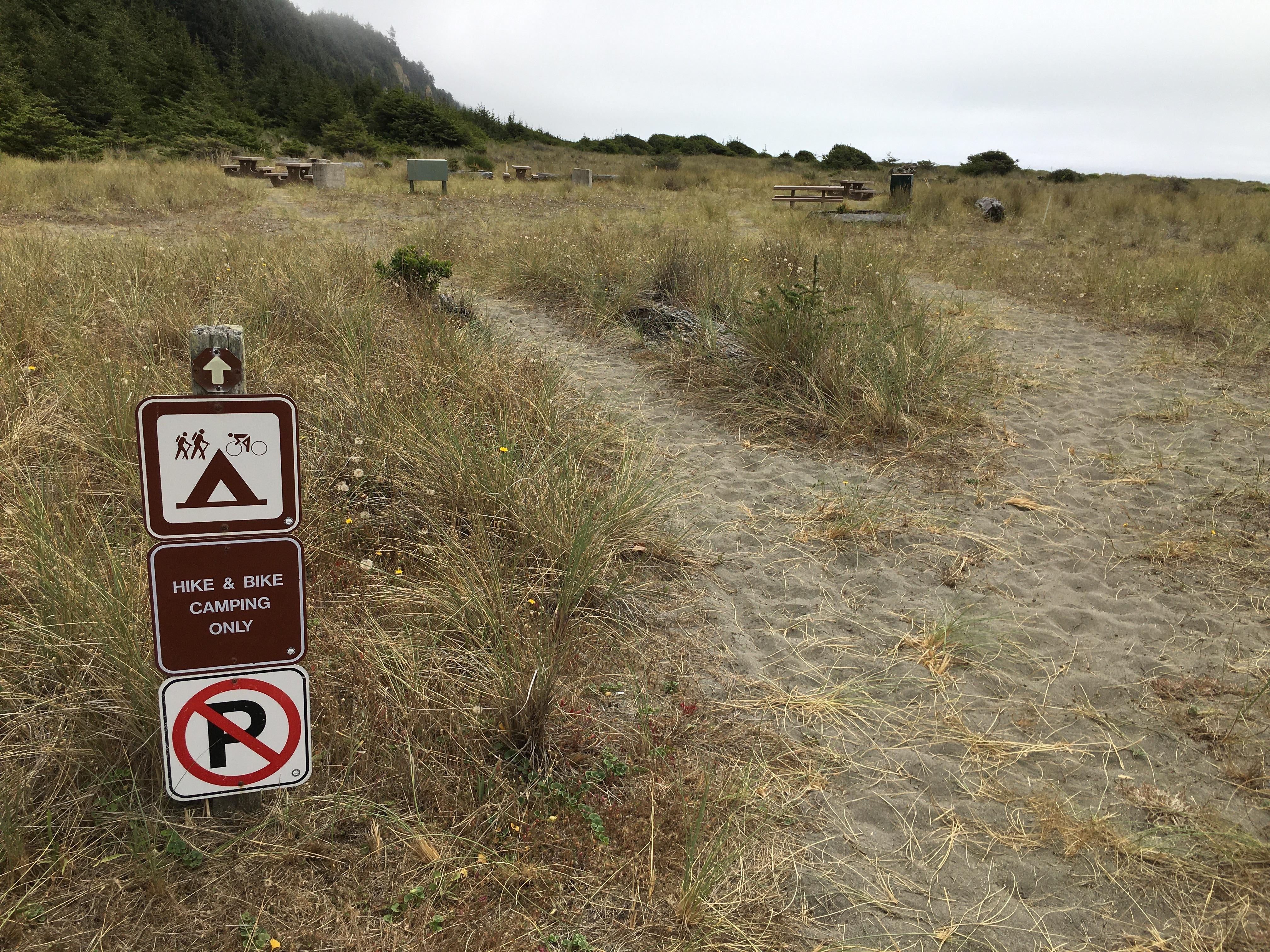 Camper submitted image from Gold Bluffs Beach Campground — Prairie Creek Redwoods State Park - 4