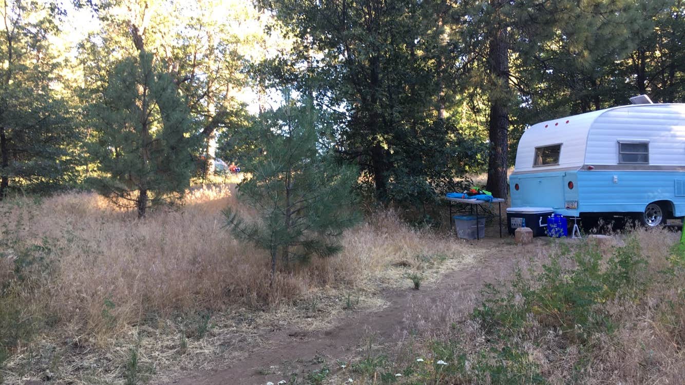 Camper submitted image from El Prado Campground - 2
