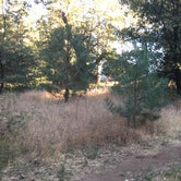 Review photo of El Prado Campground by Shawn S., July 5, 2016