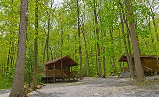 The Dyrt's photo of a cabin at Sun Valley Campground near Elverson, PA