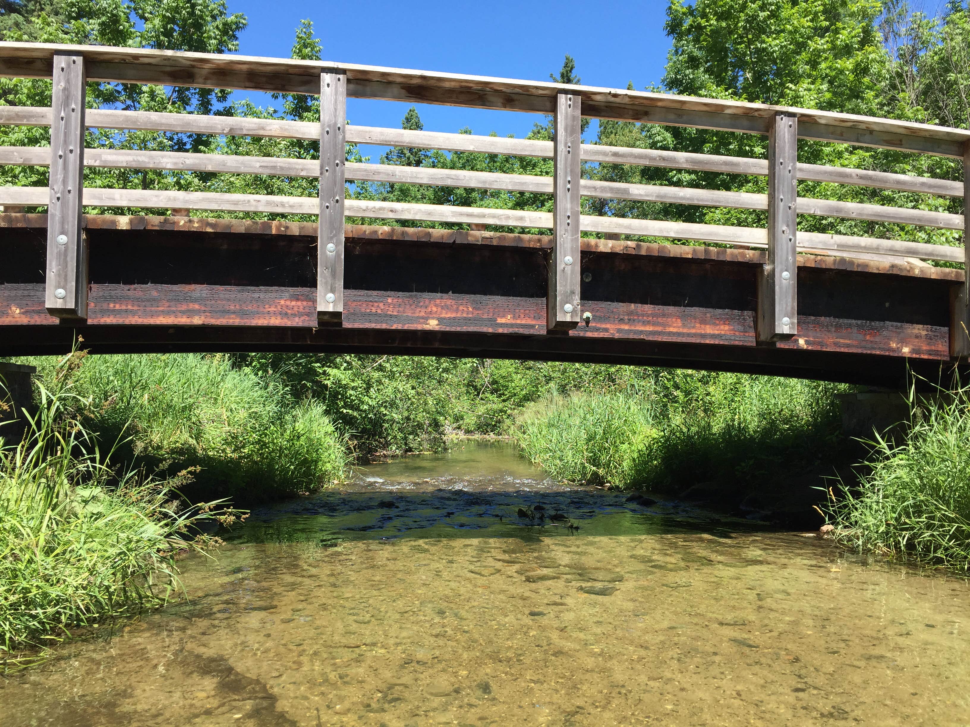 Camper submitted image from Pine Ridge Campground — Itasca State Park - 5