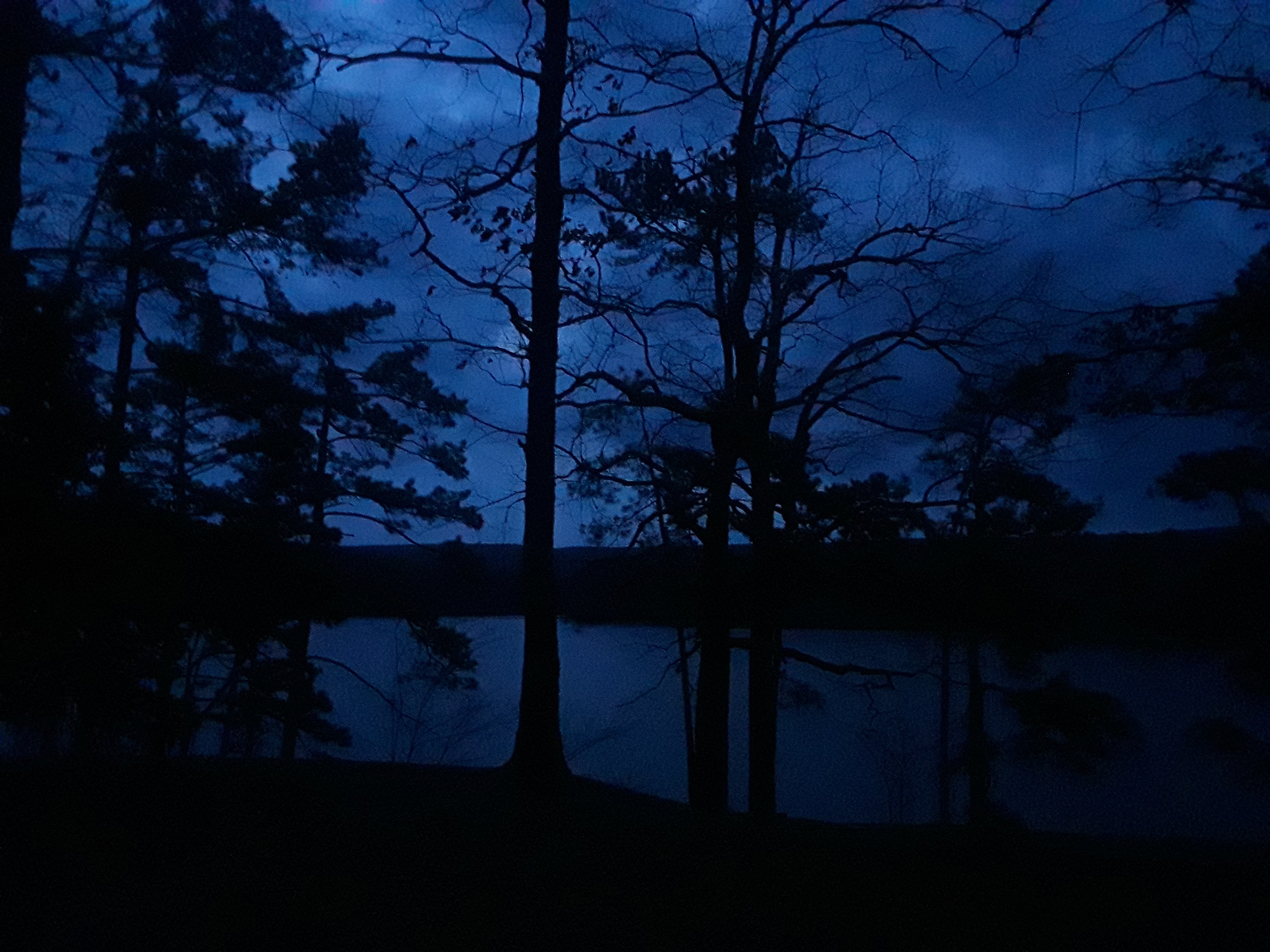 Camper submitted image from Cove Lake Complex - 2