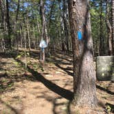 Review photo of Talimena State Park Campground by Troy W., May 2, 2018