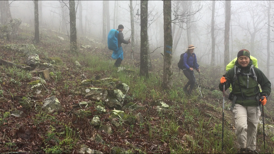 Camper-submitted photo at Talimena State Park Campground near Clayton, OK