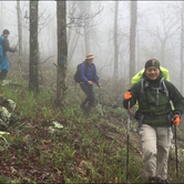 Review photo of Talimena State Park Campground by Troy W., May 2, 2018