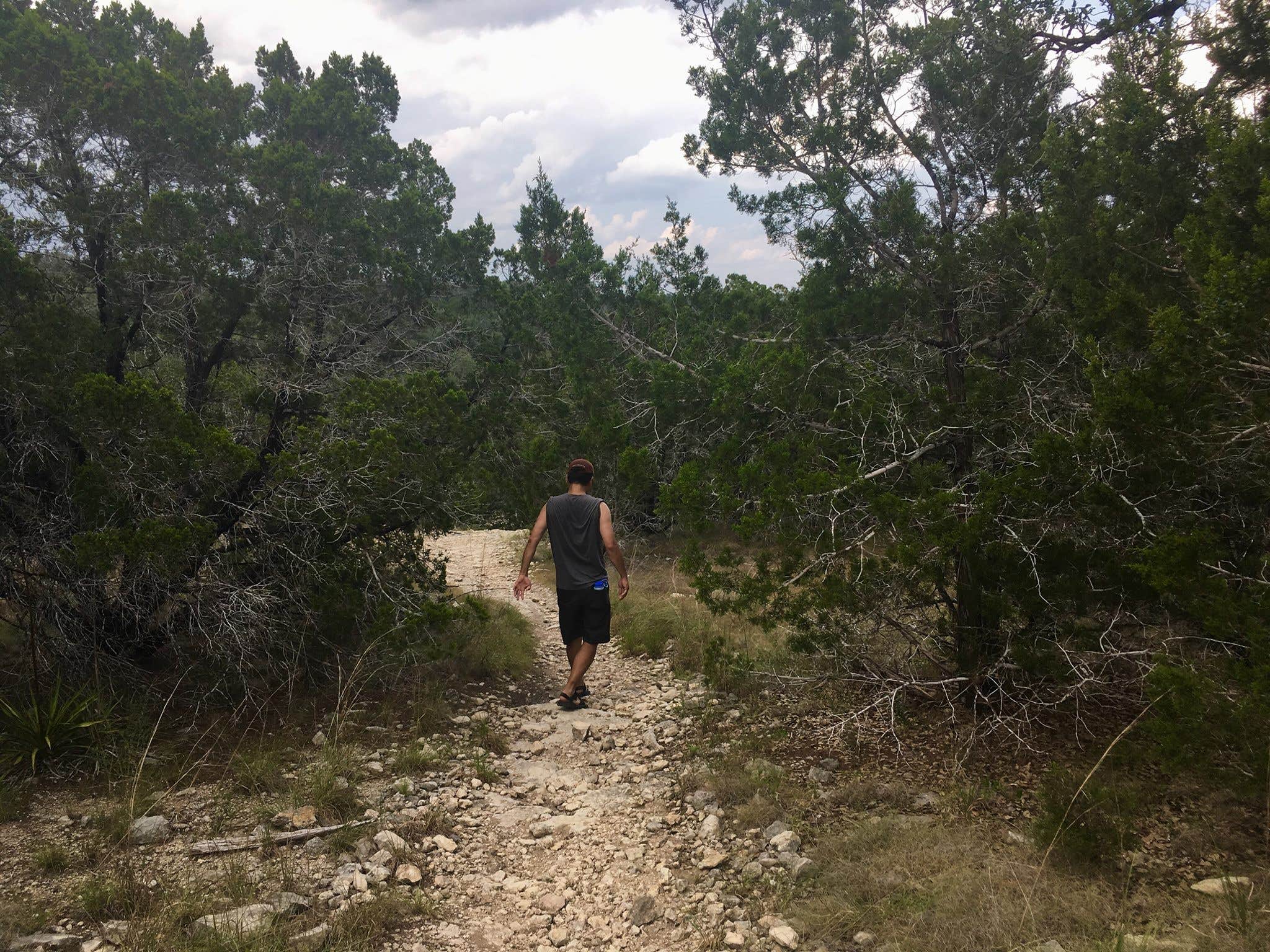 Camper submitted image from Pace Bend Park - Lake Travis - 3