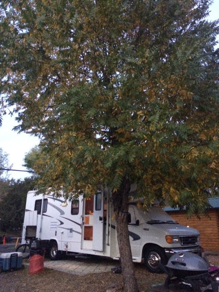 Camper submitted image from Lake Cuyamaca Recreation and Park District - 5