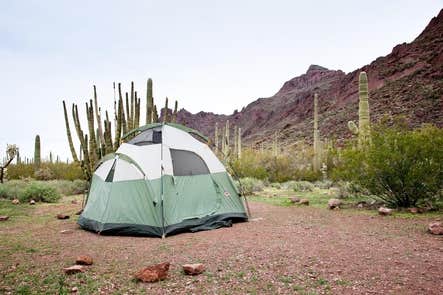 Alamo Canyon Primitive Campground The Dyrt