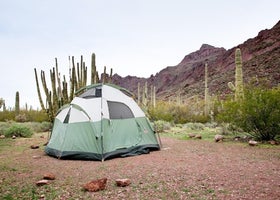 Alamo Canyon Primitive Campground