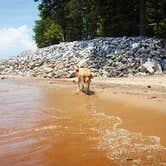 Review photo of Shady Grove Campground by Jennifer S., July 5, 2016