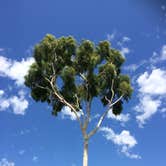 Review photo of Thousand Trails Wilderness Lakes RV Resort by Betty K., May 2, 2018
