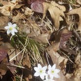 Review photo of Lake Maria State Park Campground by Kelli D., May 2, 2018