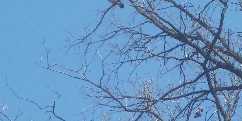 Camper submitted image from Schroeder County Park