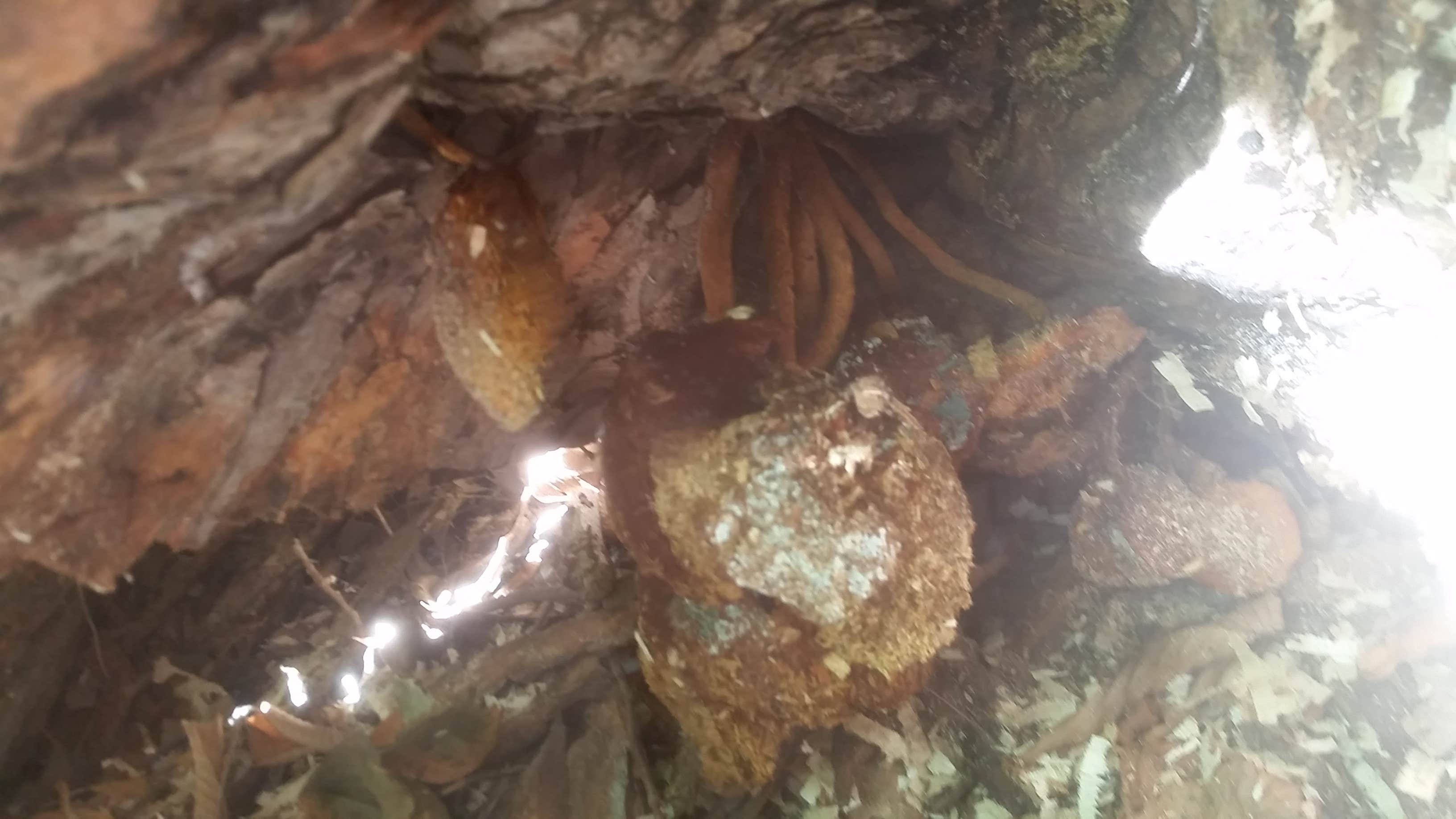 Camper-submitted photo at St. Croix Family Campground — Governor Knowles State Forest near Saint Croix National Scenic River