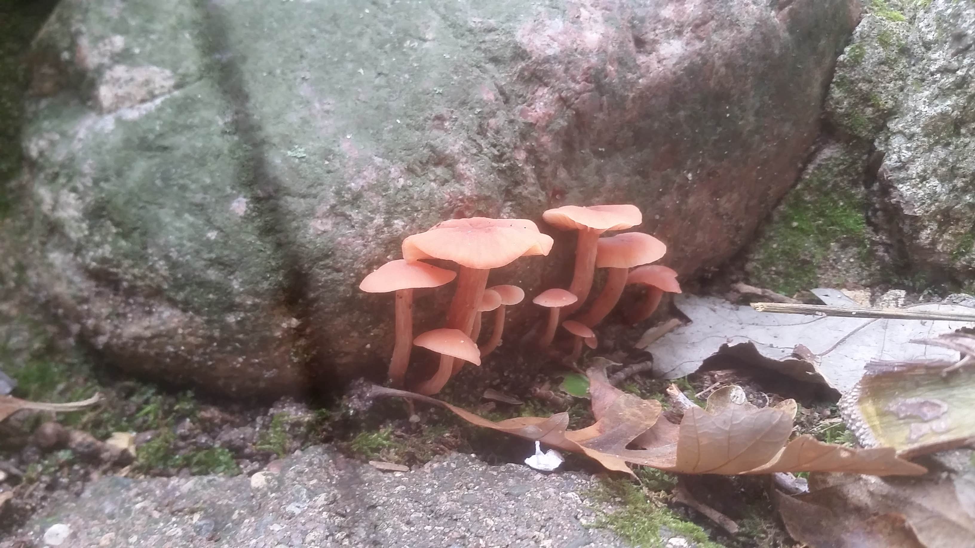 Camper-submitted photo at St. Croix Family Campground — Governor Knowles State Forest near Saint Croix National Scenic River