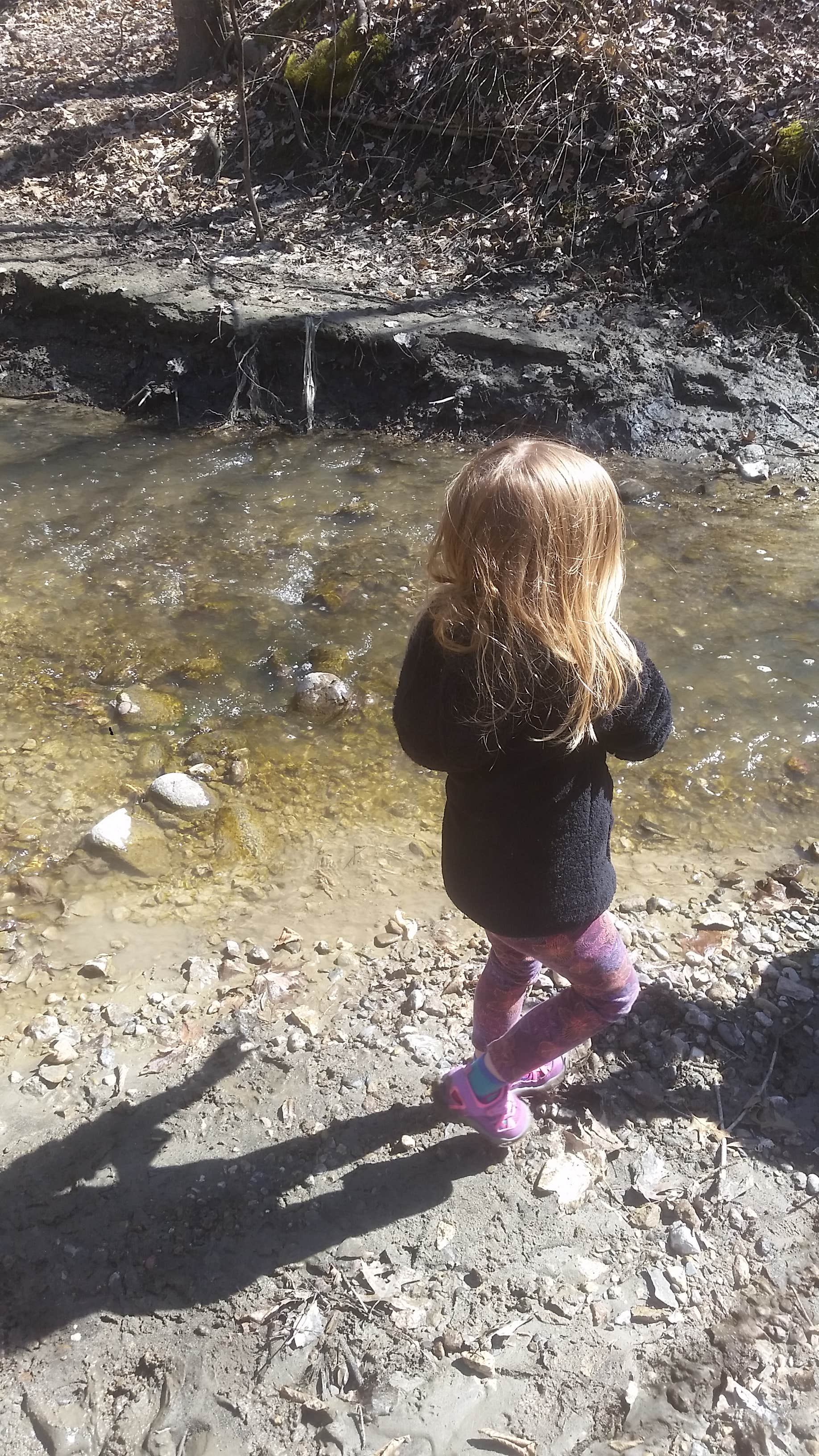 Camper submitted image from Red Fox Campground — Minneopa State Park - 5