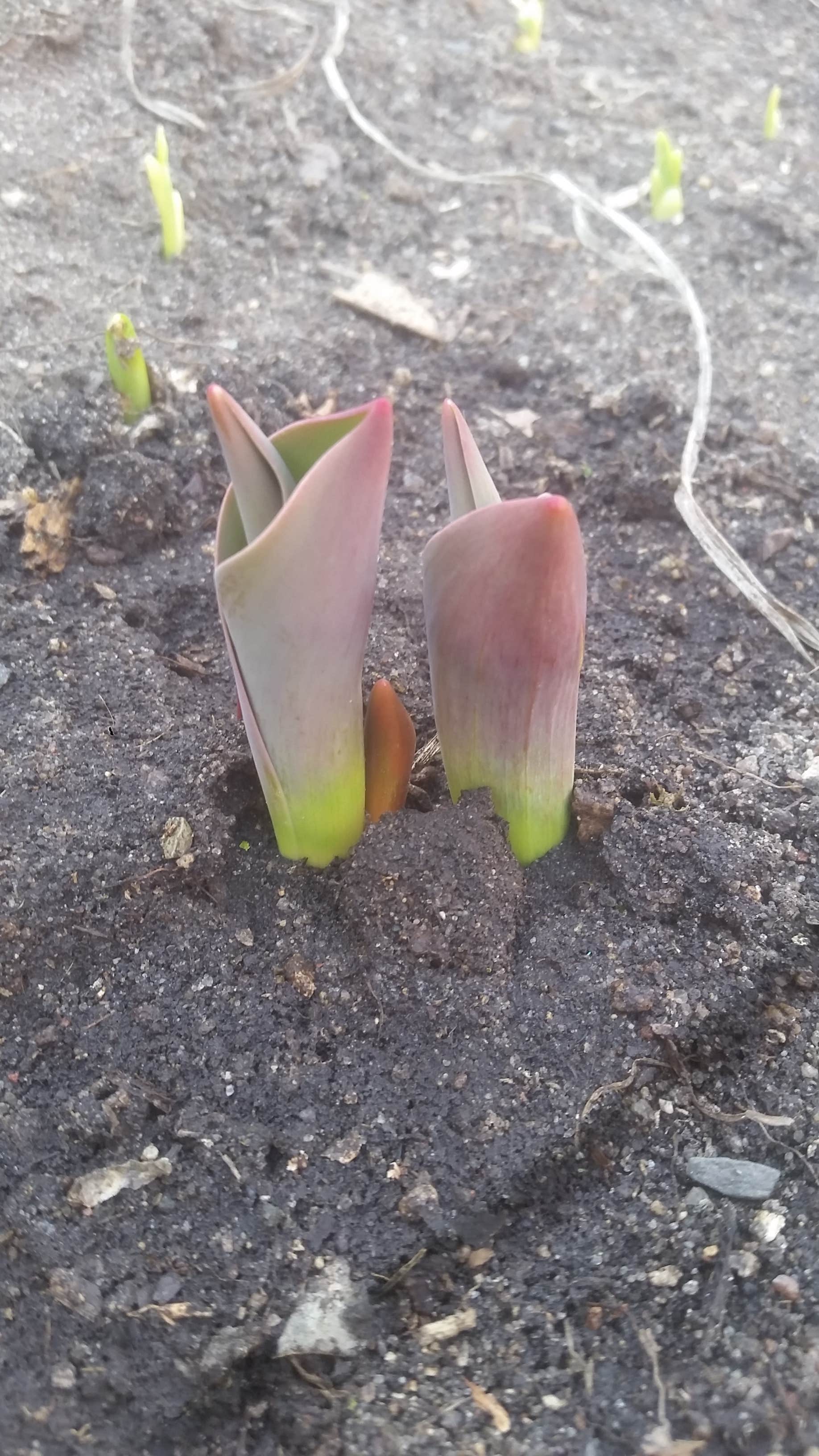 Camper-submitted photo at Buckhorn State Park Campground near Friendship, WI