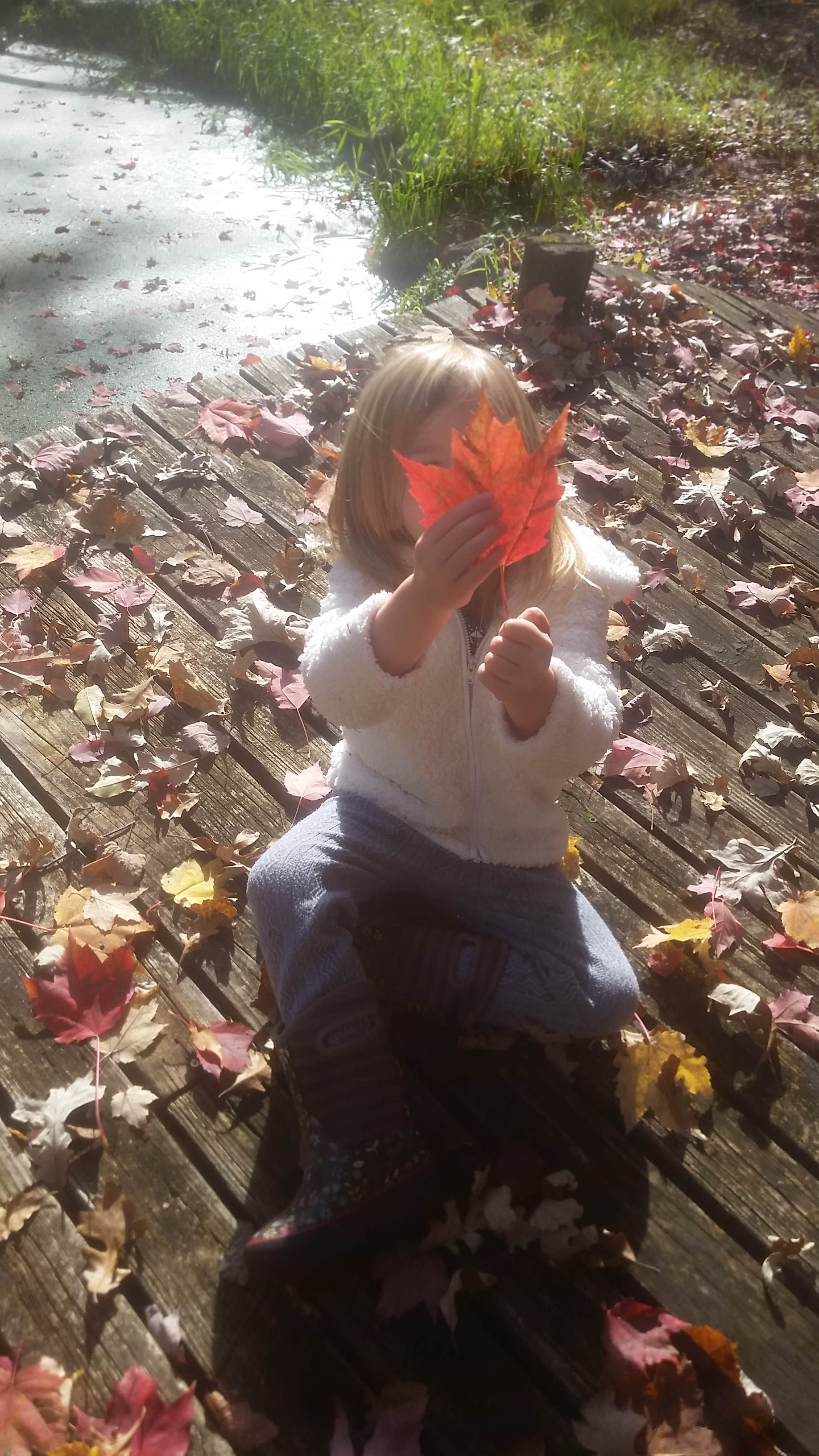 Camper-submitted photo at Buckhorn State Park Campground near Friendship, WI