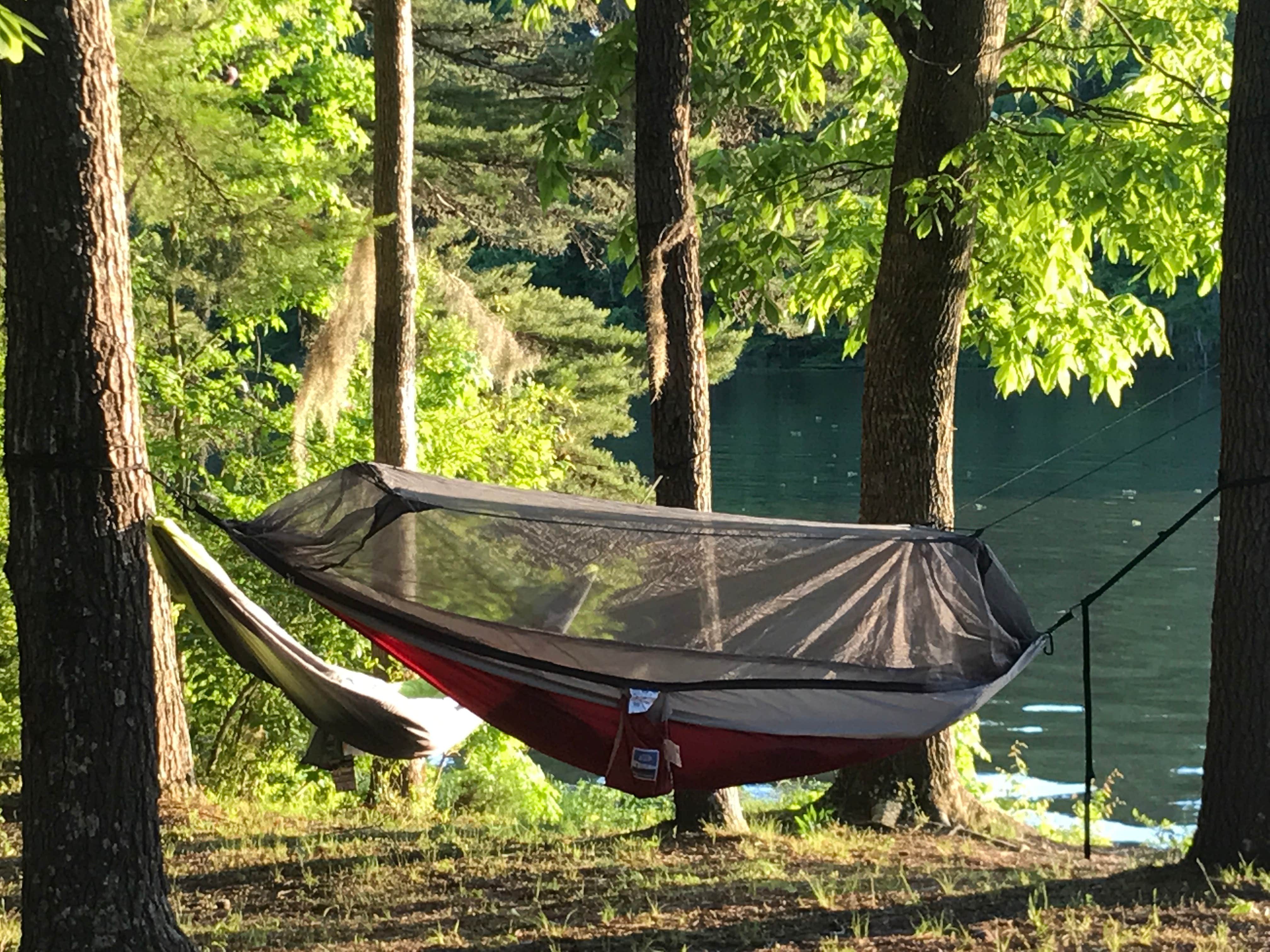 Camper-submitted photo at Roland Cooper State Park Campground near Marion Junction, AL
