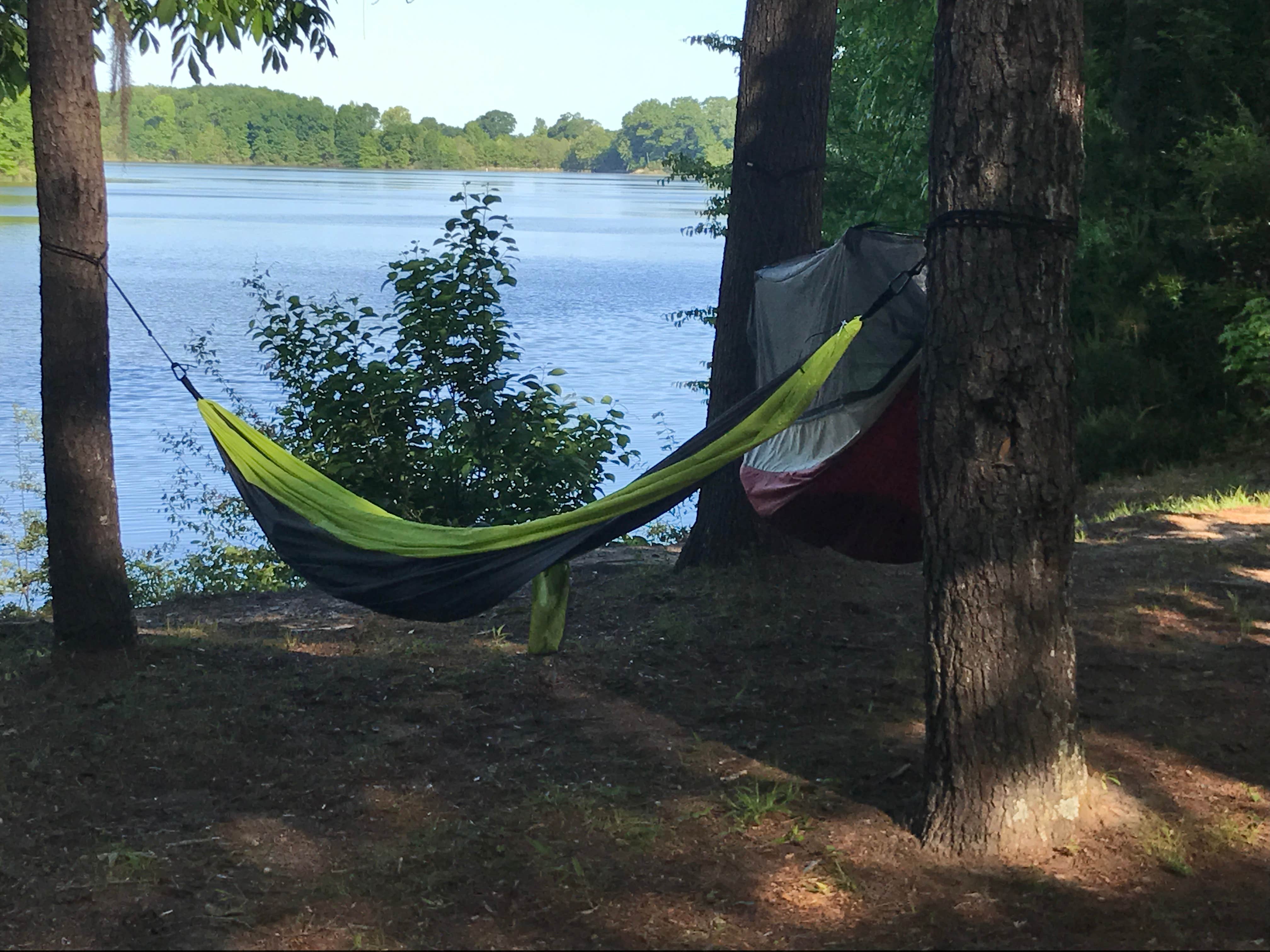 Camper submitted image from Roland Cooper State Park Campground - 3