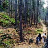 Review photo of Thimbleberry Group Camp — Farragut State Park by Francie M., May 2, 2018