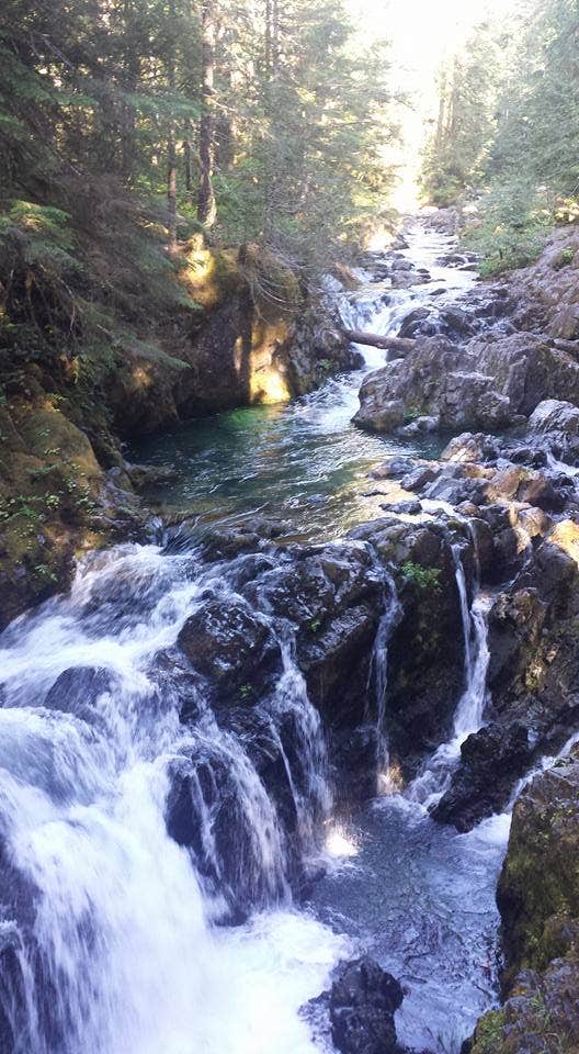 Camper submitted image from Opal Pool Campsites - 3