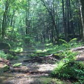 Review photo of Sinnemahoning State Park Campground by Rachel B., May 2, 2018