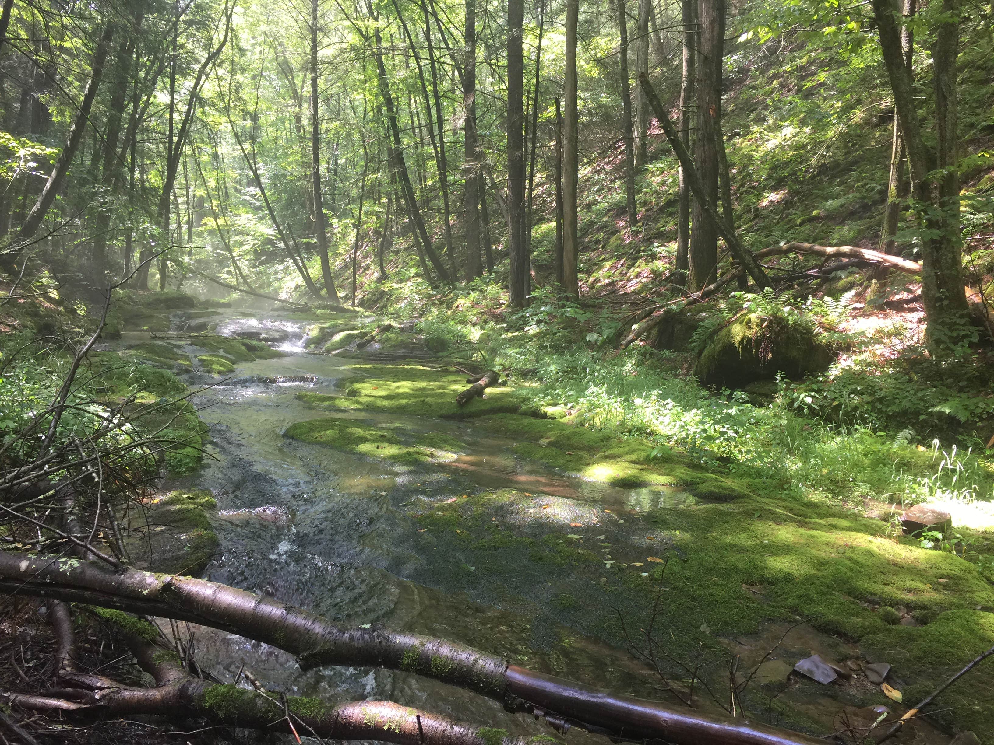 Camper-submitted photo at Sinnemahoning State Park Campground near Emporium, PA