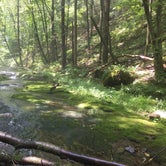 Review photo of Sinnemahoning State Park Campground by Rachel B., May 2, 2018