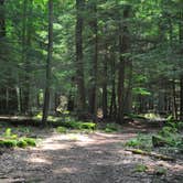 Review photo of Cook Forest State Park Campground by Rachel B., May 2, 2018