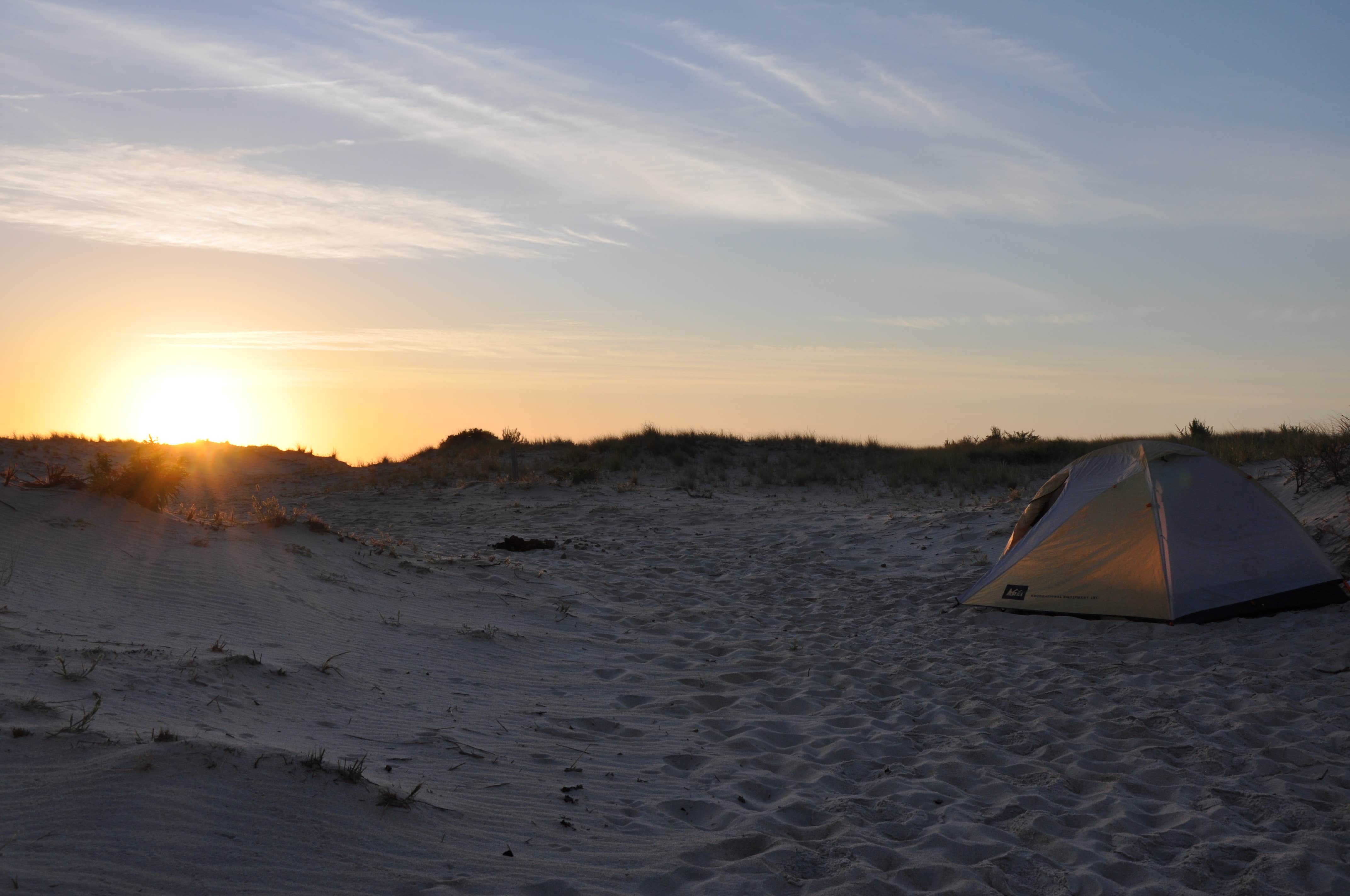 Rachel B.'s photo at Little Levels Backcountry Site — Assateague Island National Seashore near Assateague Island National Seashore