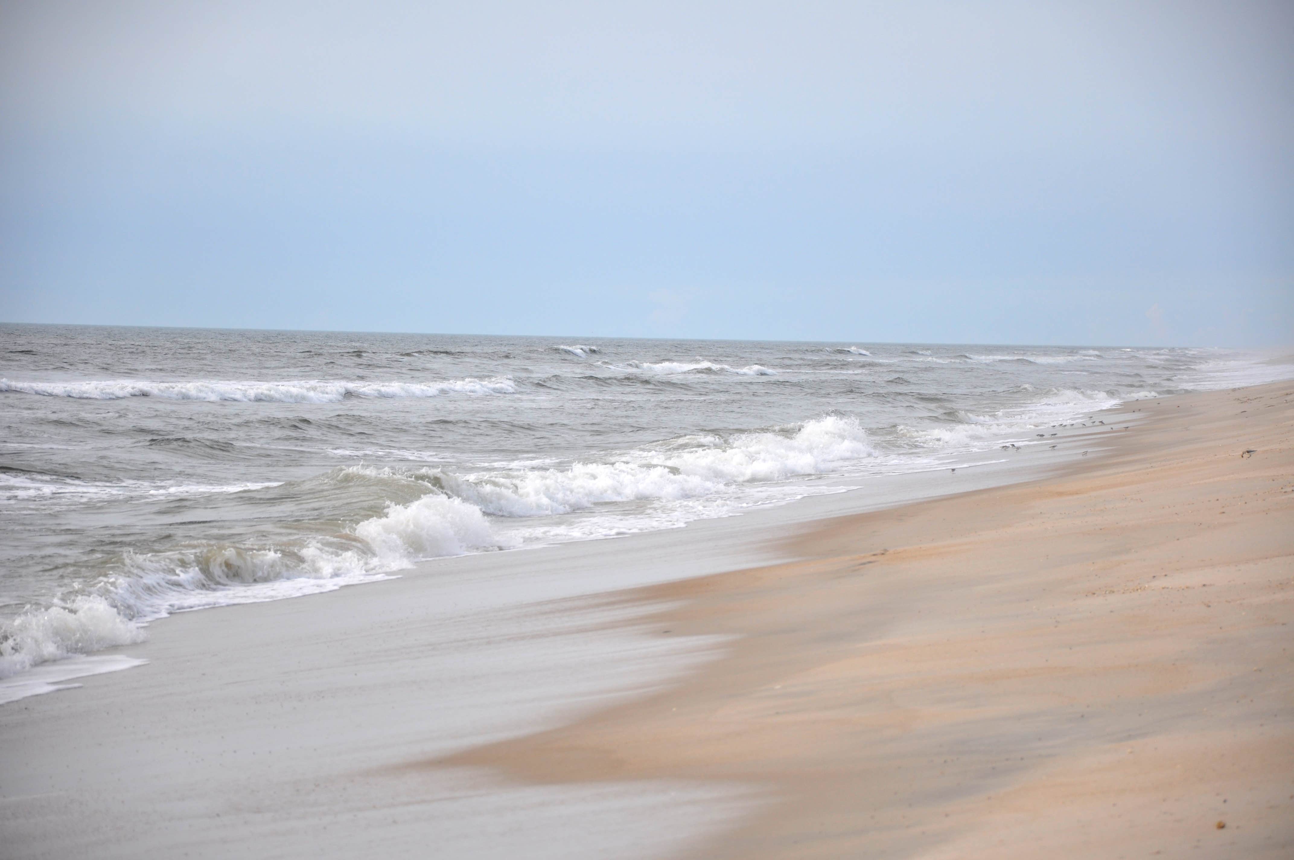 Camper submitted image from Little Levels Backcountry Site — Assateague Island National Seashore - 3