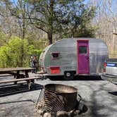 Review photo of Elizabeth Furnace Campground by Shari  G., May 2, 2018