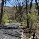 Review photo of Elizabeth Furnace Campground by Shari  G., May 2, 2018