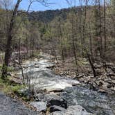 Review photo of Elizabeth Furnace Campground by Shari  G., May 2, 2018