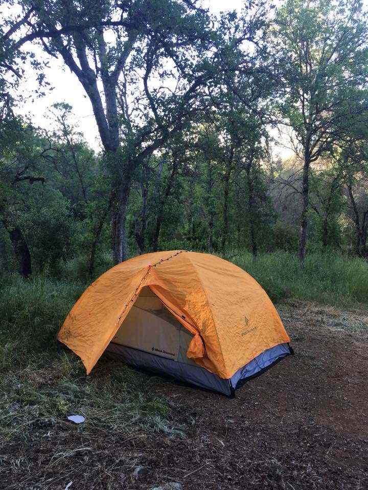 Tammy H.'s photo at Moccasin Point Campground near Waterford, CA